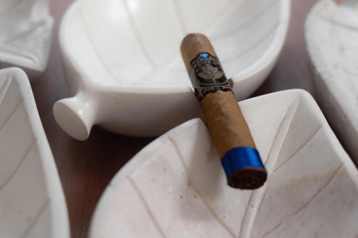 Casa Nicaragua - Five B