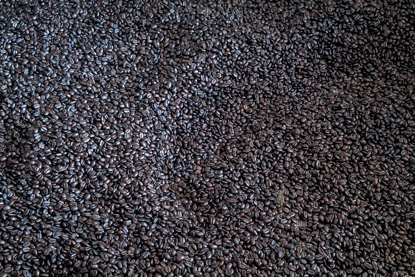 Rare Coffee Oscuro Blend