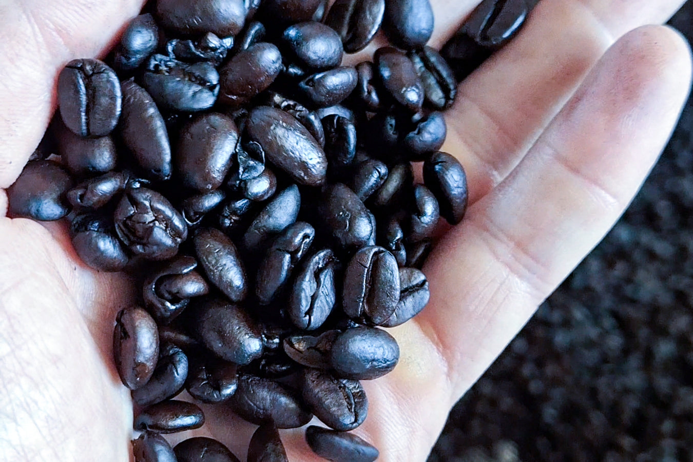 Rare Coffee Oscuro Blend