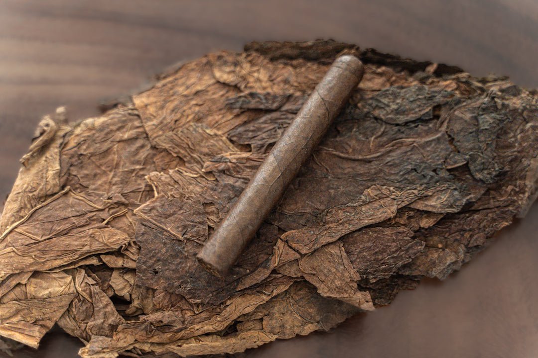 Somotito by Rare Cigars