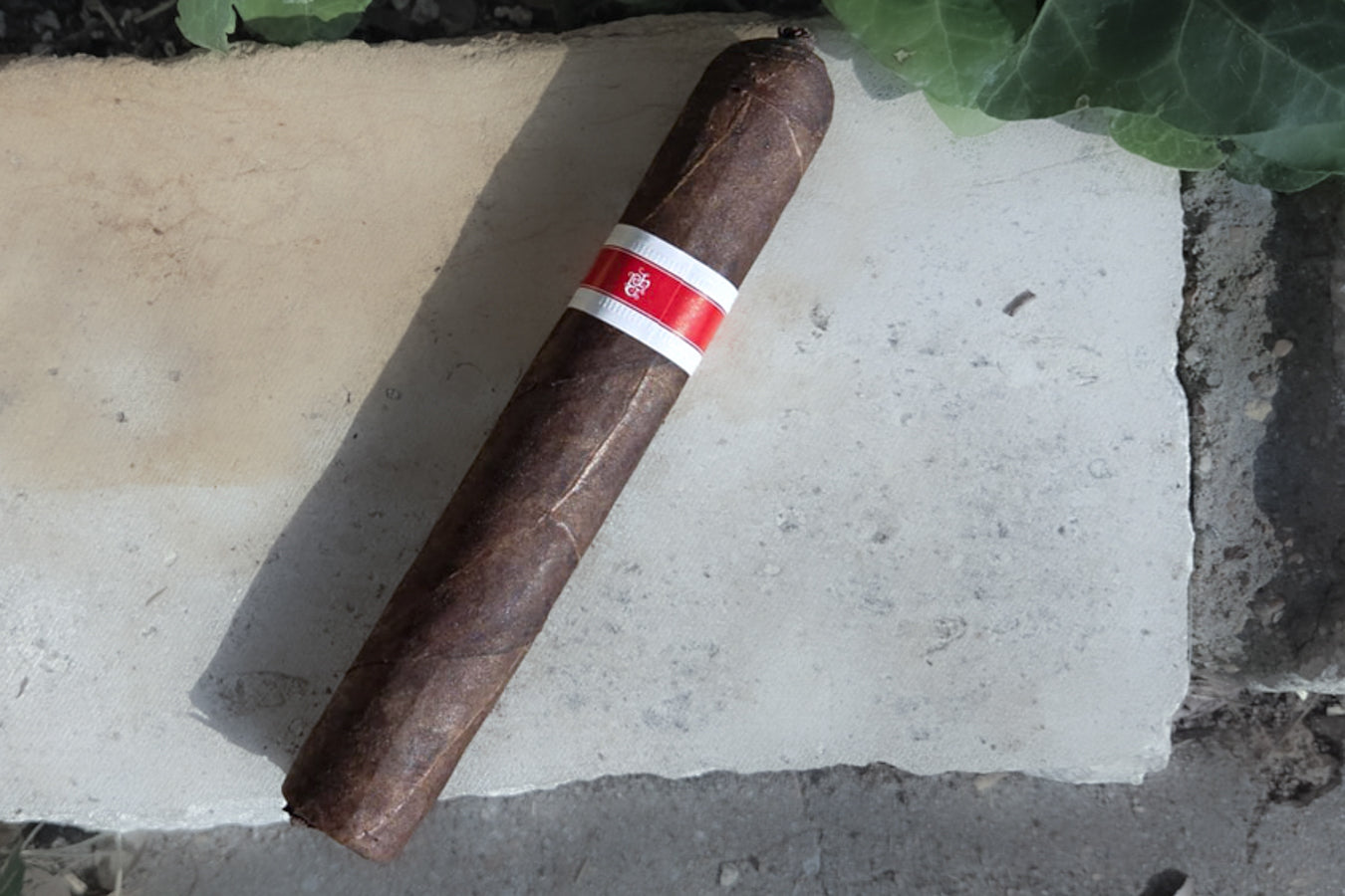 Tatuaje Pork Tenderloin