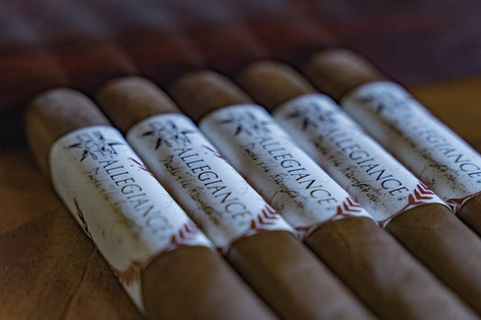 262 Allegiance cigar