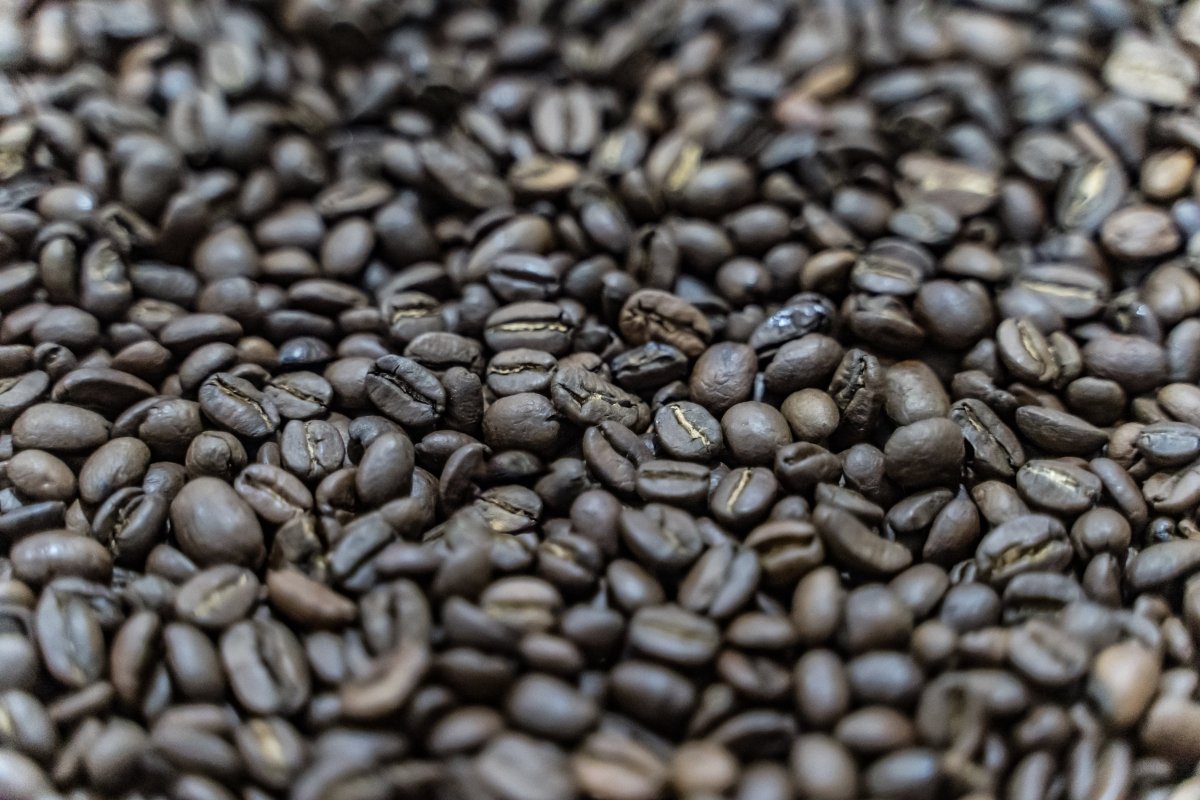 Rare Coffee - Maduro Blend
