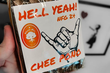 Ohana Nui Chee Pono