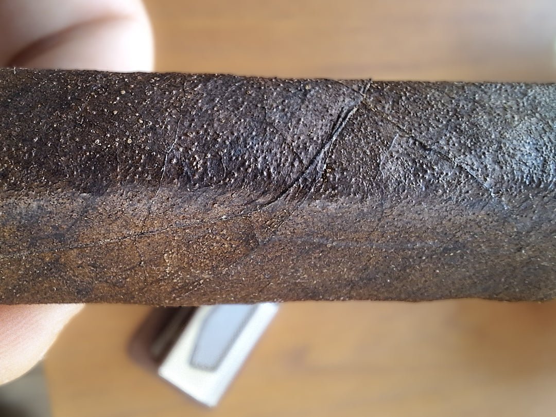 Pilgrimage cigar toro