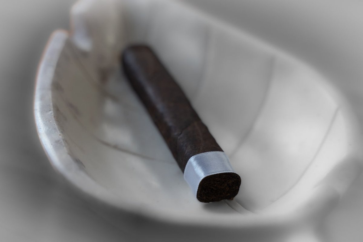 Viso Horny 555 cigar by Tyler Jeffrey