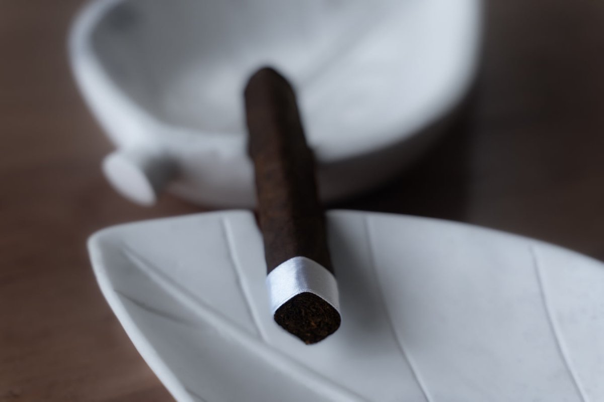 Viso Horny 555 cigar by Tyler Jeffrey