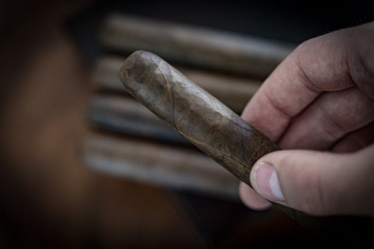 Rare Cigars Philosophy cigar