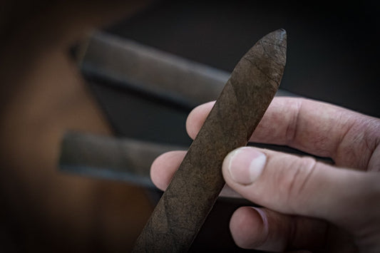 Pilgrimage cigar by Rare Cigars