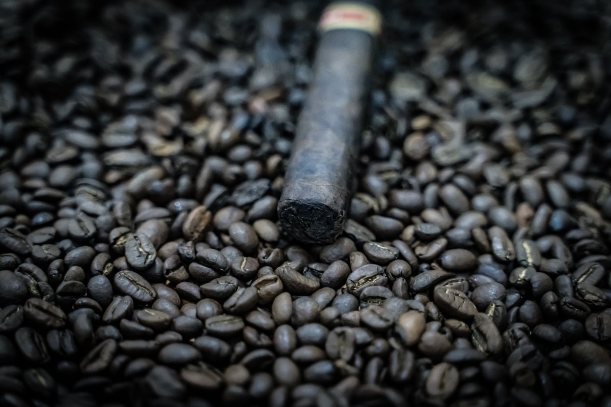 Rare Coffee Maduro Roast