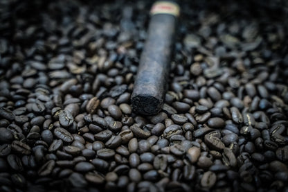 Rare Coffee Maduro Roast