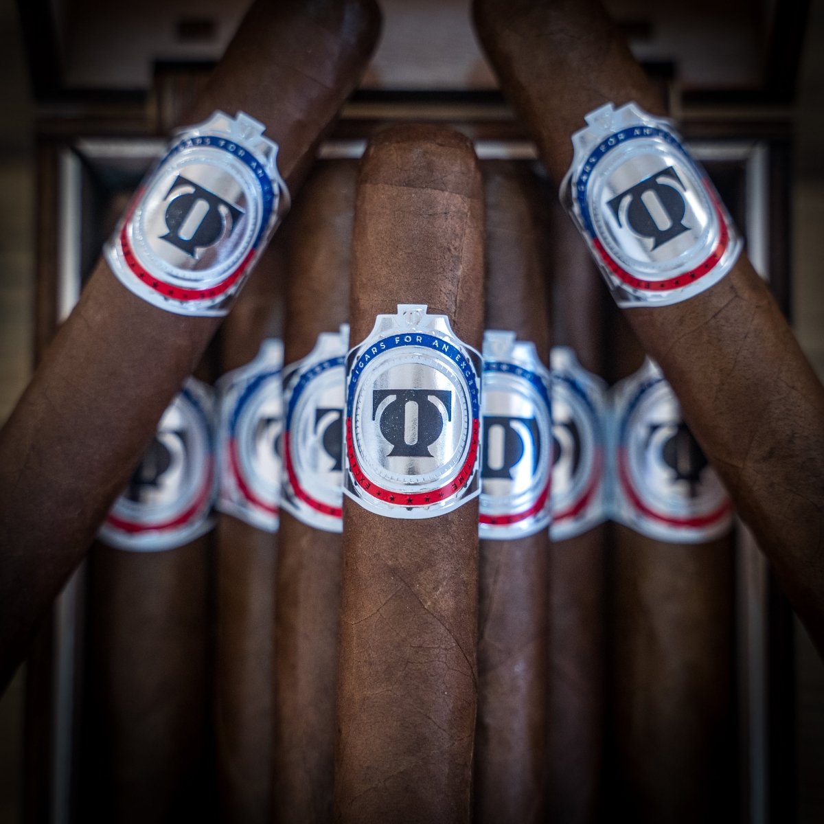 Time Out Sampler - 6 Cigars Total